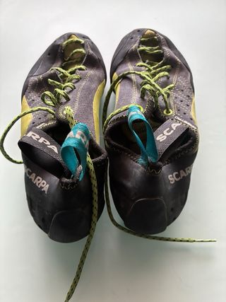 Pies de gato escalada Scarpa Maestro T40