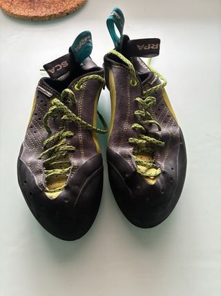Pies de gato escalada Scarpa Maestro T40