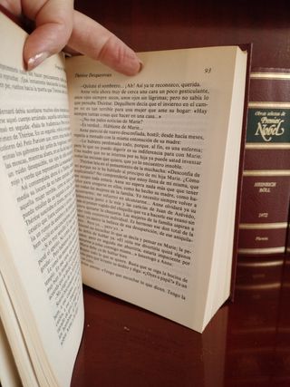 Premios novel