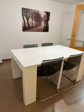 Mesa salón + 6 sillas