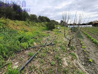 Terreno en venta en Manilva en Manilva