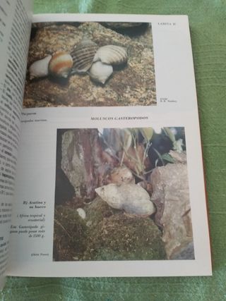 Zoología. Las ciencias naturales