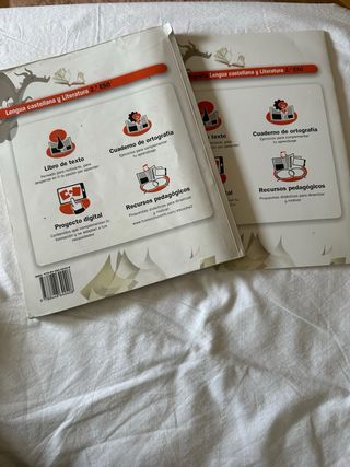 Lengua castellana y Literatura 2. ESO