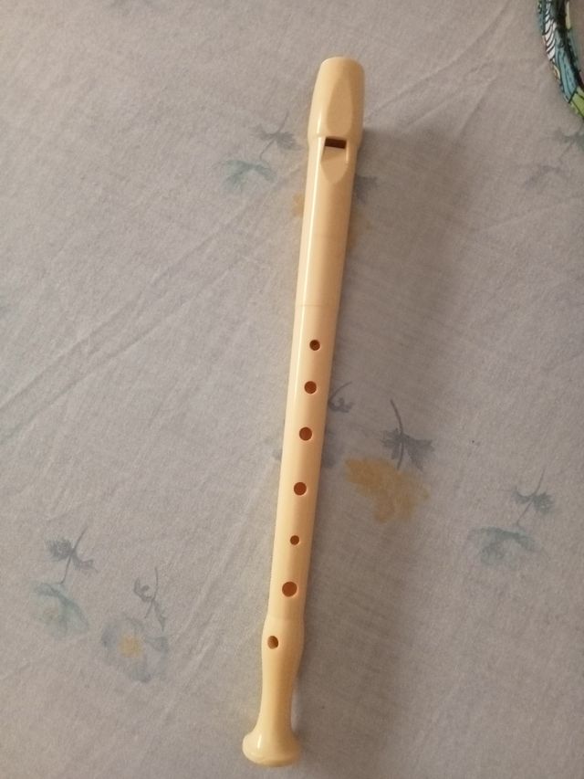 Flauta dulce + funda