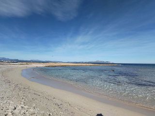 Terreno en venta en Can Picafort en Santa Margalida