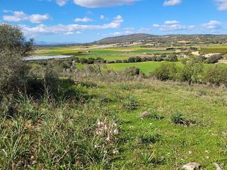 Solar en venta en Manacor Centro en Manacor