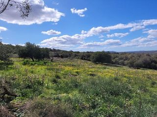Solar en venta en Manacor Centro en Manacor