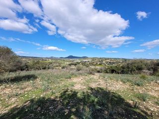Solar en venta en Manacor Centro en Manacor