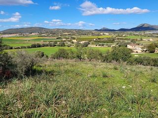 Solar en venta en Manacor Centro en Manacor
