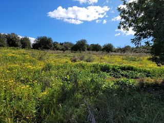 Solar en venta en Manacor Centro en Manacor