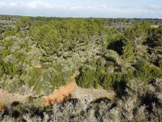 Terreno en venta en Algaida