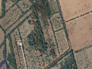 Terreno en venta en Algaida