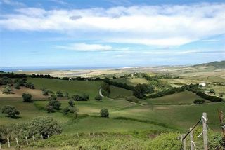 Cortijo en alquiler en Vejer de la Frontera