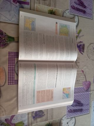 Lengua castellana y Literatura 1 BA LOMLOE