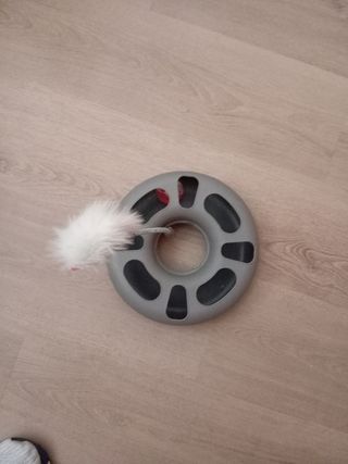 Juguete interactivo gato