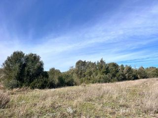 Terreno en venta en Muro
