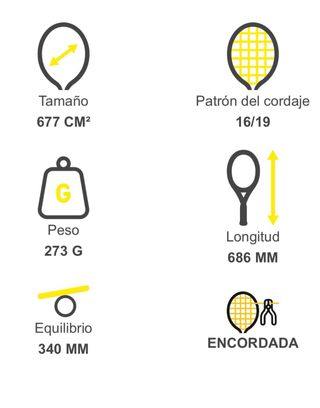 Raqueta Wilson Federer Team 105