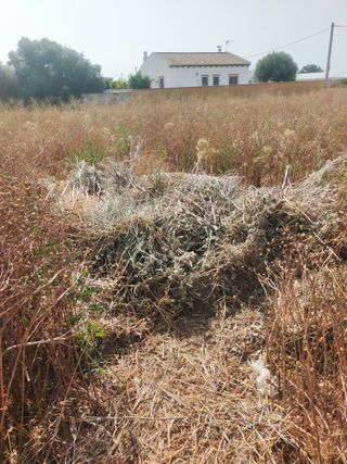 Desbroze de Parcelas y Solares