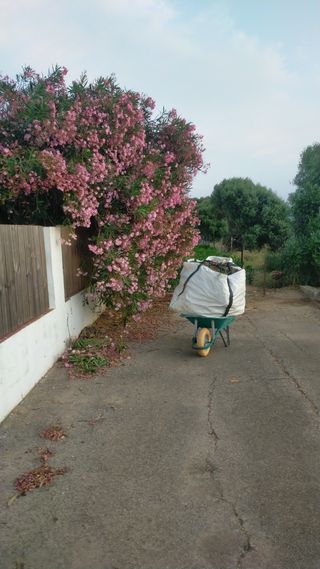 Desbroze de Parcelas y Solares