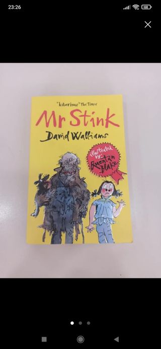 Mr Stink