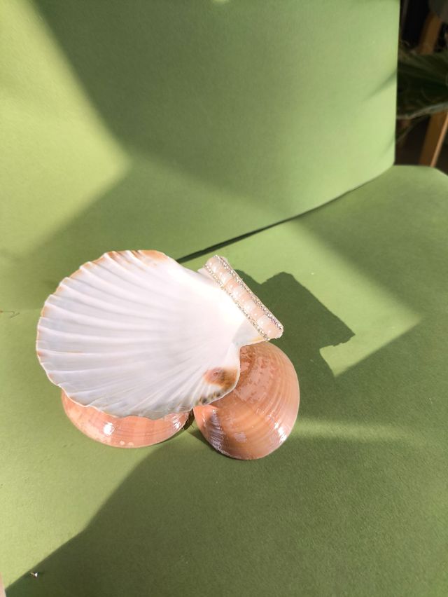 Soporte conchas para joyas ovelas