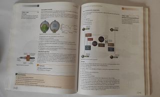Circuitos de fluidos. Suspensión y dirección