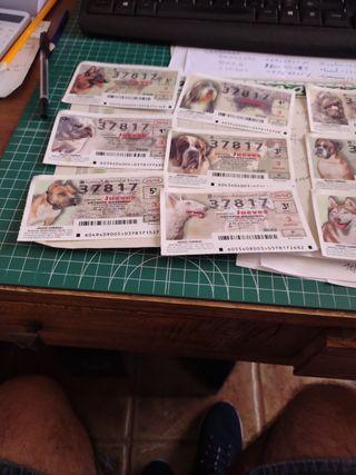 Lotería Nacional: Razas Caninas
