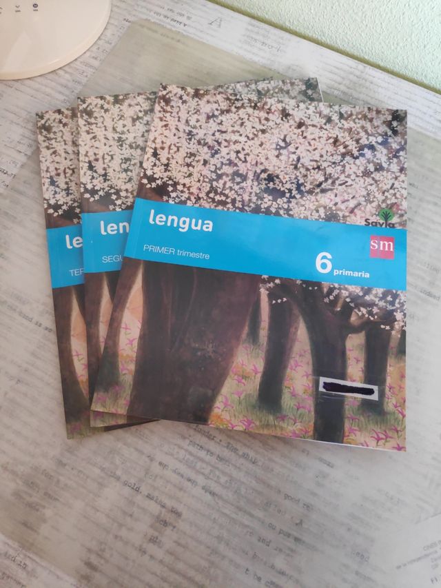 Lengua. 6 Primaria. Savia (Spanish Edition)