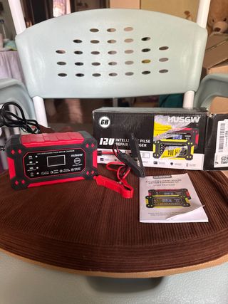 Cargador Pulso 12V Inteligente