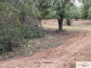 Terreno en venta en Capdepera
