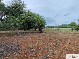 Terreno en venta en Capdepera