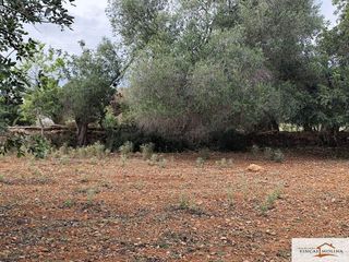 Terreno en venta en Capdepera