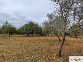 Terreno en venta en Capdepera