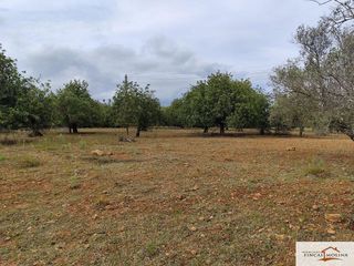 Terreno en venta en Capdepera