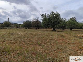 Terreno en venta en Capdepera