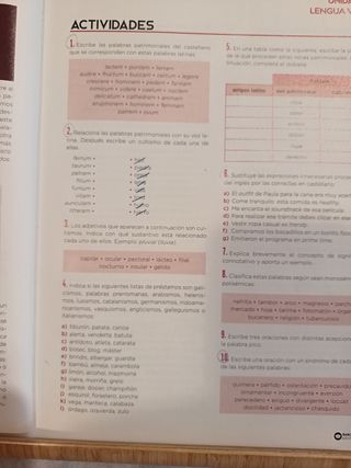 Beatriz Bernal Bachillerato. Lengua castellana