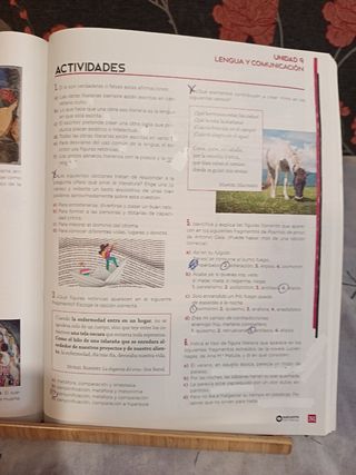 Beatriz Bernal Bachillerato. Lengua castellana