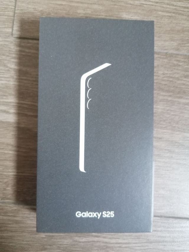 Samsung Galaxy S25 12/256GB