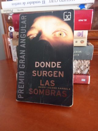 Donde surgen las sombras - Lozano Garbala