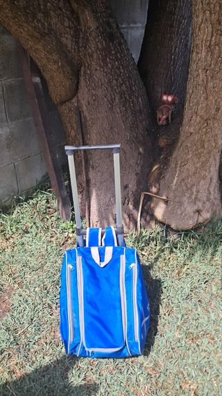 Mochila con ruedas azul patinaje
