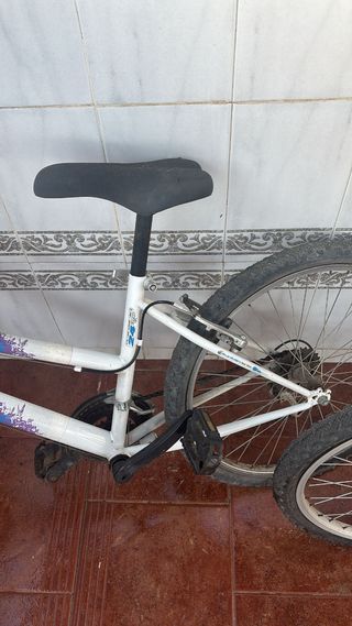 Bicicletta da bambina Texx 24"