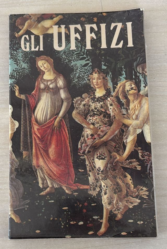 Gli uffizi - Guida alla visita del museo Ed. 1979