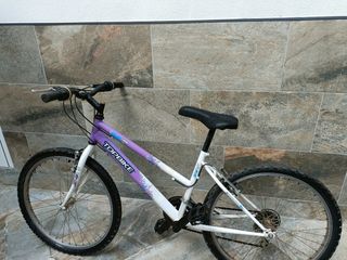 Bicicleta Topbike montaña