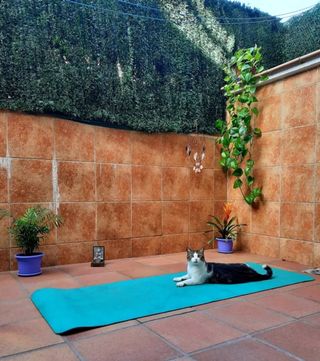 Clases de yoga, pilates y yoguilates 