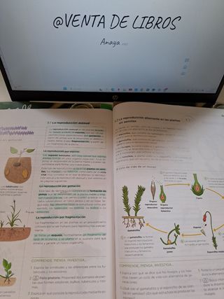 Libros Biología y Geología 1 de la eso