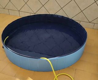 Piscina infantil seterbakio azul