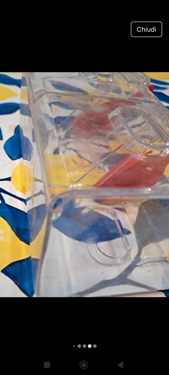 Dolcetti Tiger Dispenser