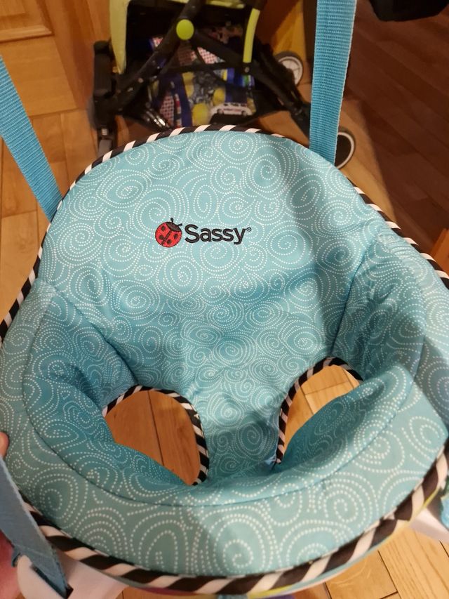 Saltador Bebé Sassy Puerta y Columpio