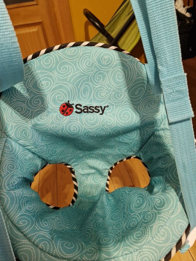 Saltador Bebé Sassy Puerta y Columpio