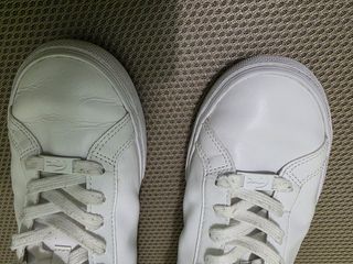 Zapatillas Lacoste Blancas 42.5